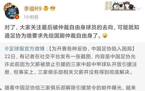 李璇爆料裁缝是哪一集视频,裁缝身份曝光,真相竟藏于这一集视频 第1张 李璇爆料裁缝是哪一集视频,裁缝身份曝光,真相竟藏于这一集视频 第1张